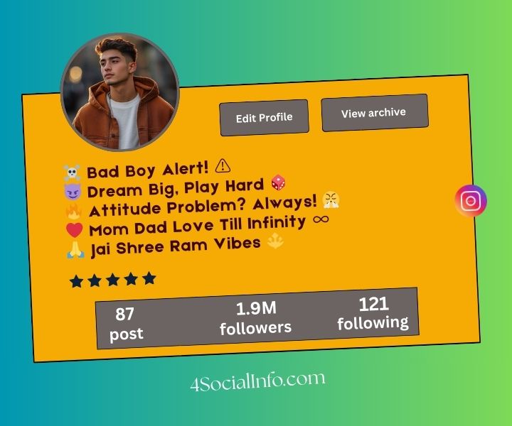 Bio for Instagram for Boys Attitude