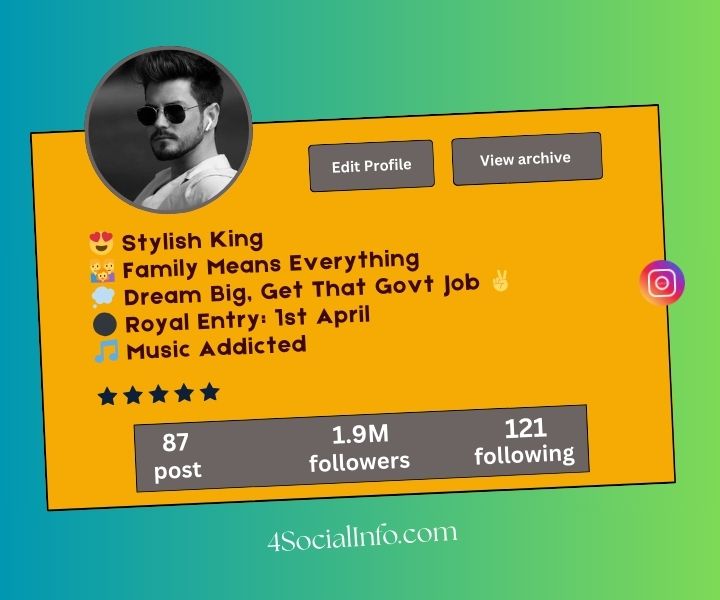 Stylish Instagram Bio for Boys