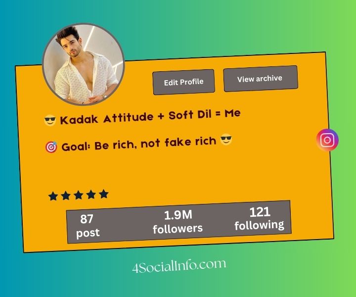One Line Instagram Bio for Boys