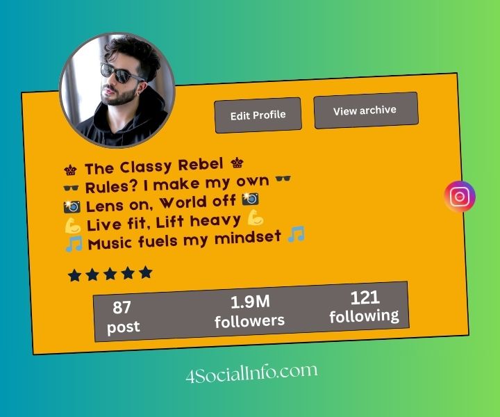 Instagram Bio for Boys with Emojis