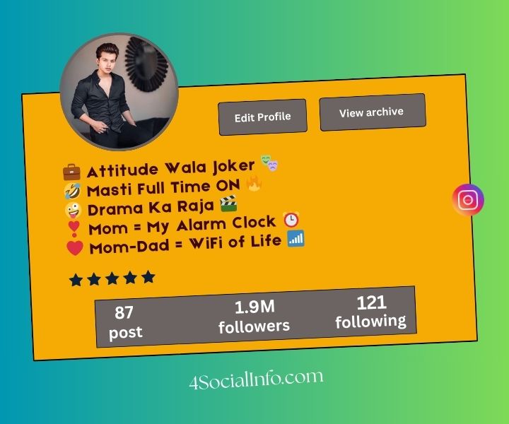 Funny Instagram Bio for Boys