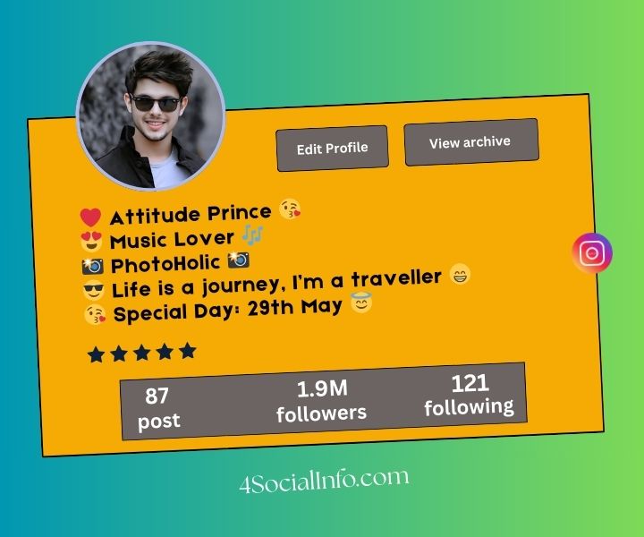 Bio for Instagram for Boys Attitude
