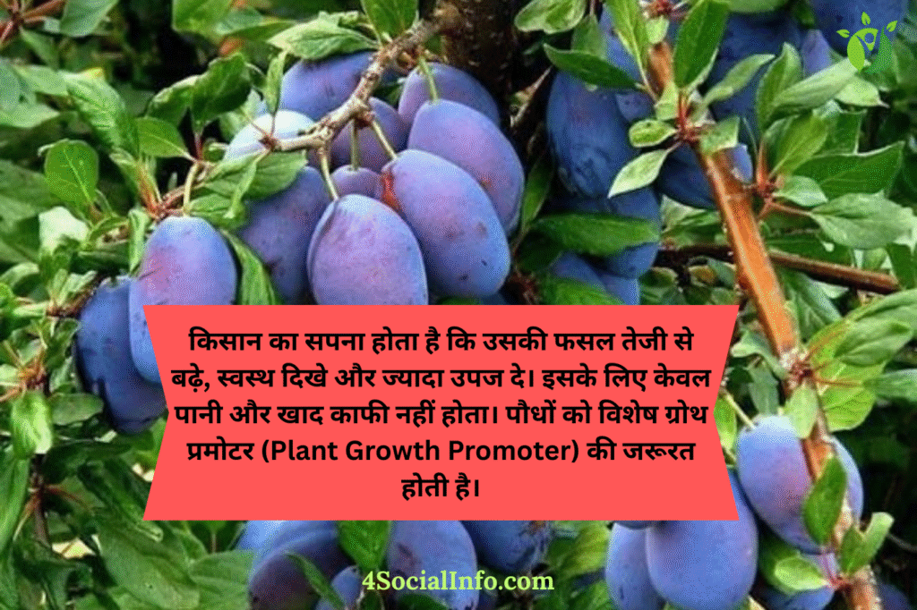 पौधों की ग्रोथ के लिए दवा