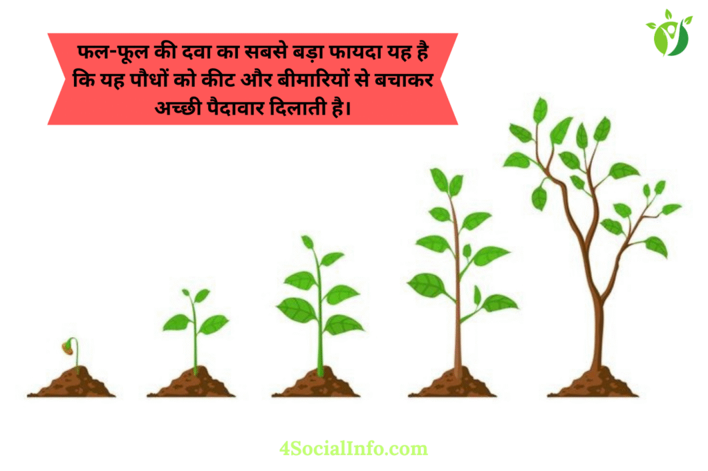 फल-फूल की दवा के फायदे
