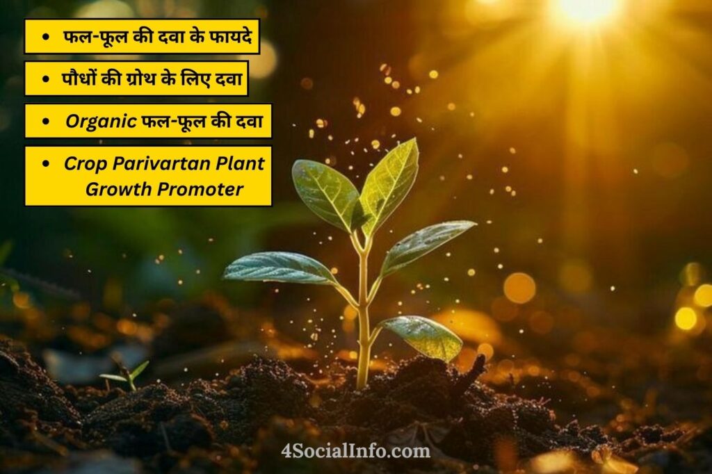 फल-फूल की दवा